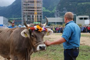 Impression Kranzabgabe